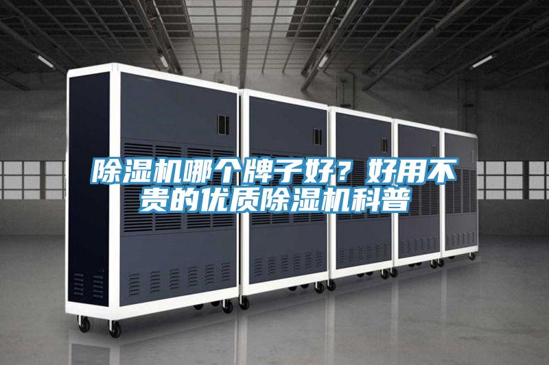 除濕機哪個牌子好？好用不貴的優質除濕機科普
