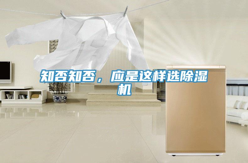 知否知否,應是這樣選除濕機