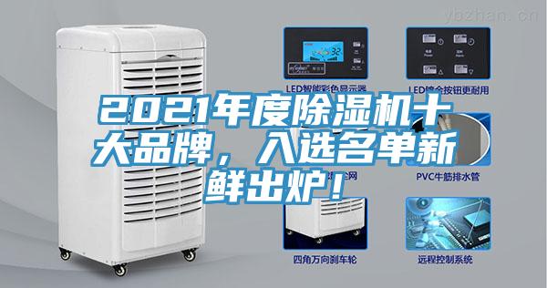 2021年度除濕機十大品牌，入選名單新鮮出爐！