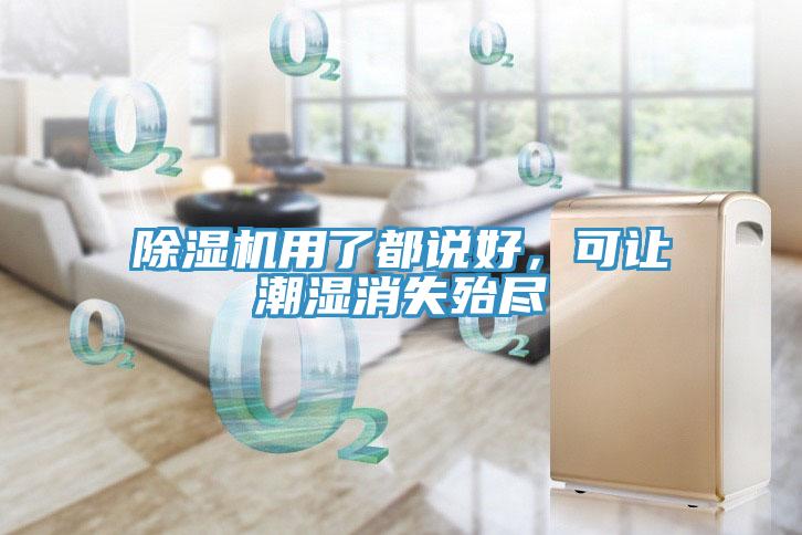 除濕機(jī)用了都說好，可讓潮濕消失殆盡