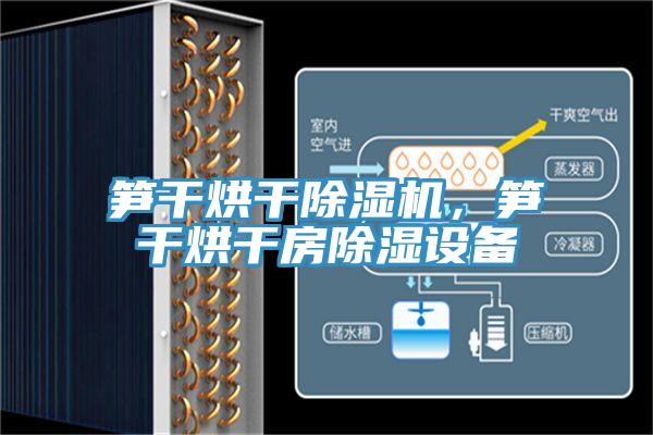 筍干烘干除濕機,筍干烘干房除濕設備