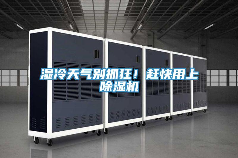 濕冷天氣別抓狂!趕快用上除濕機