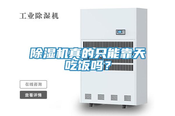 除濕機真的只能靠天吃飯嗎？