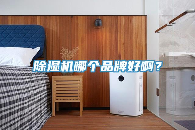 除濕機哪個品牌好??？