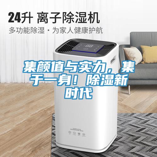 集顏值與實力，集于一身！除濕新時代