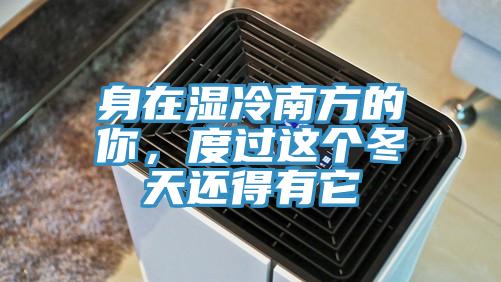 身在濕冷南方的你,度過這個(gè)冬天還得有它