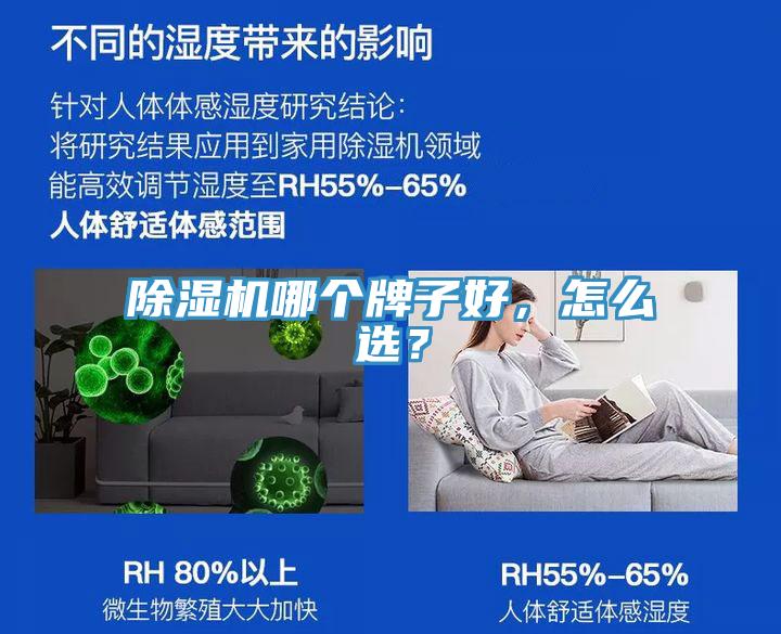 除濕機哪個牌子好，怎么選？