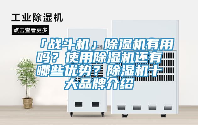 「戰(zhàn)斗機(jī)」除濕機(jī)有用嗎？使用除濕機(jī)還有哪些優(yōu)勢？除濕機(jī)十大品牌介紹