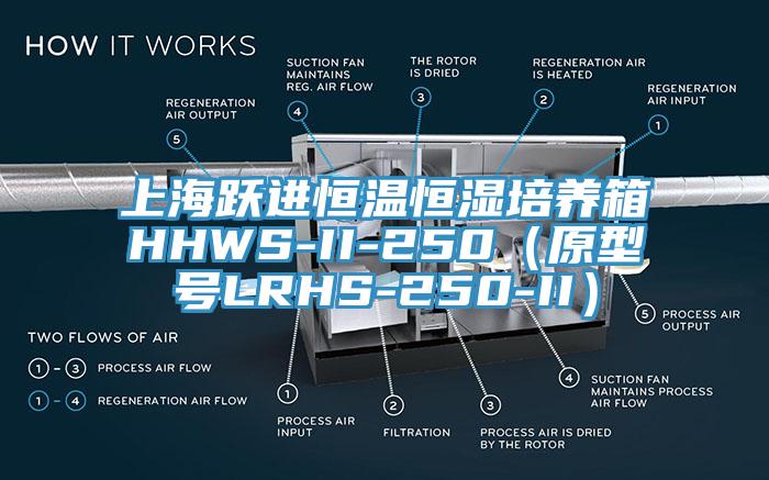 上海躍進恒溫恒濕培養箱HHWS-II-250(原型號LRHS-250-II)