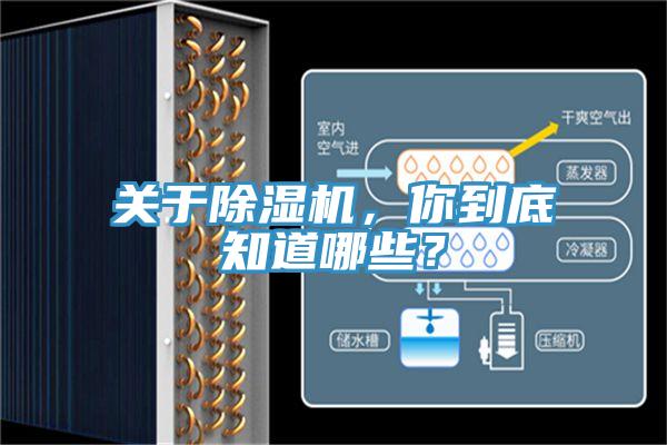 關于除濕機，你到底知道哪些？