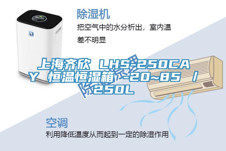 上海齊欣 LHS-250CAY 恒溫恒濕箱 -20~85℃/250L