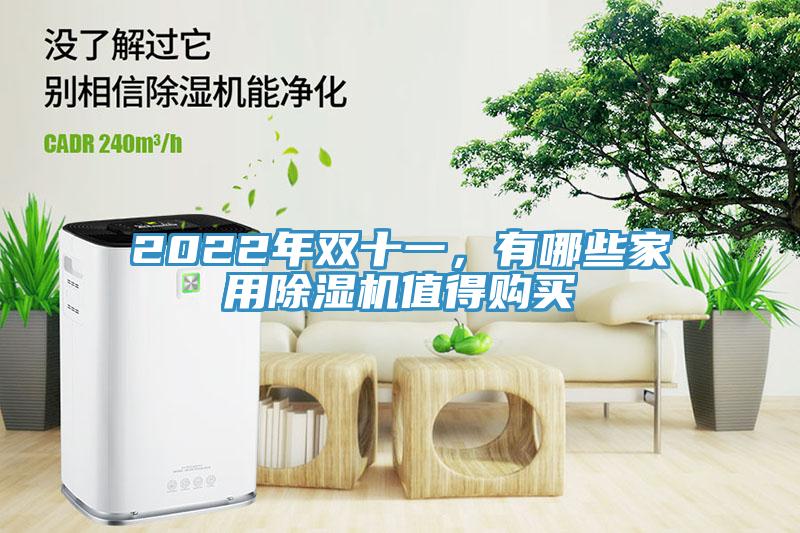 2022年雙十一，有哪些家用除濕機(jī)值得購買