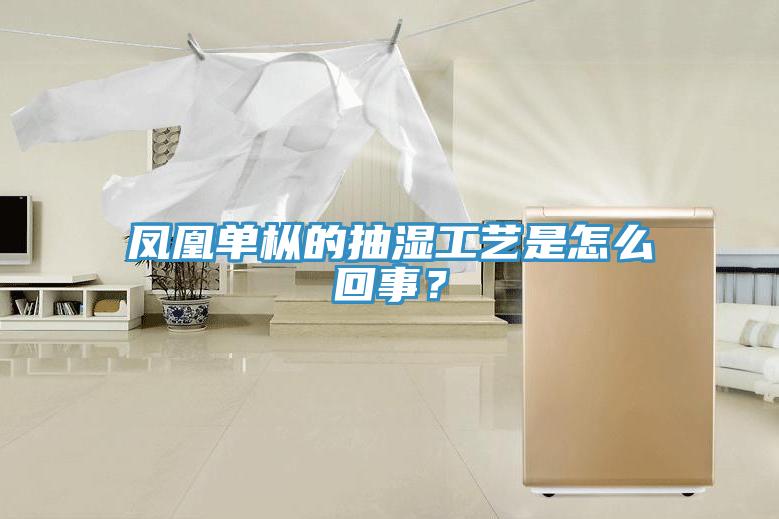 鳳凰單樅的抽濕工藝是怎么回事？