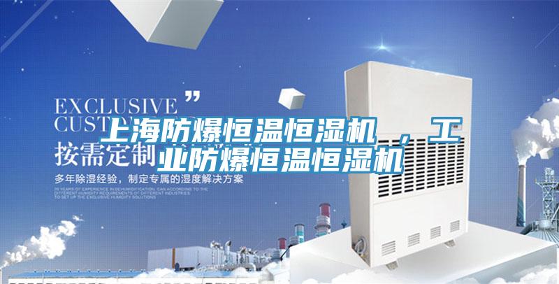 上海防爆恒溫恒濕機 ,工業防爆恒溫恒濕機