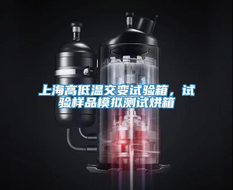 上海高低溫交變試驗箱，試驗樣品模擬測試烘箱