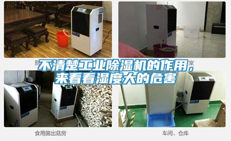 不清楚工業除濕機的作用，來看看濕度大的危害