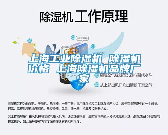 上海工業(yè)除濕機(jī) 除濕機(jī)價(jià)格 上海除濕機(jī)品牌廠(chǎng)家