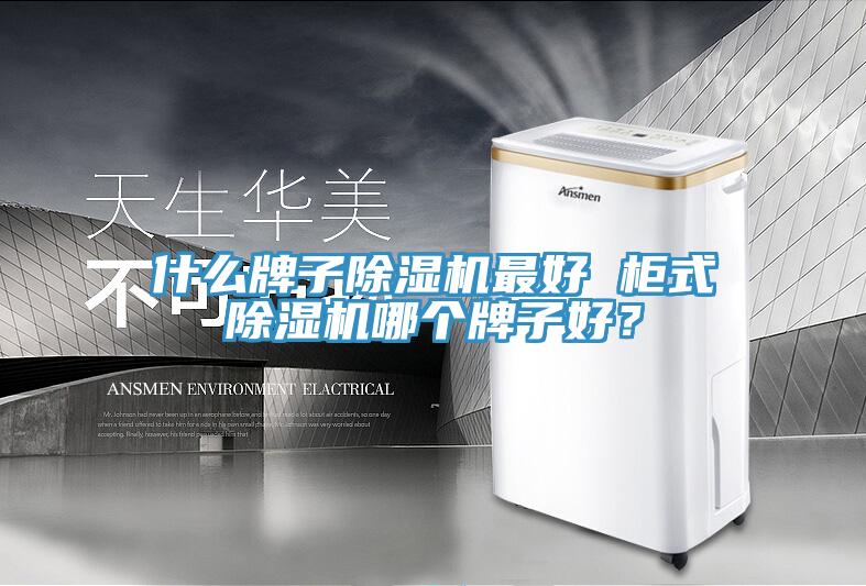什么牌子除濕機(jī)最好 柜式除濕機(jī)哪個(gè)牌子好？