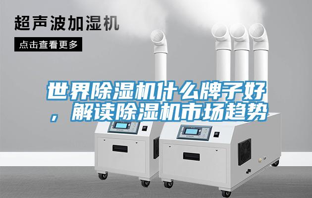 世界除濕機(jī)什么牌子好，解讀除濕機(jī)市場趨勢