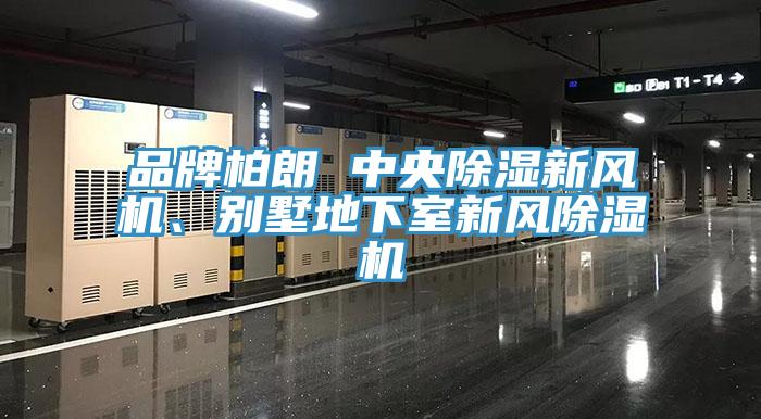 品牌柏朗 中央除濕新風(fēng)機、別墅地下室新風(fēng)除濕機