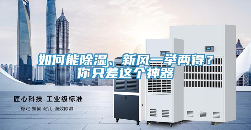 如何能除濕、新風(fēng)一舉兩得？你只差這個神器
