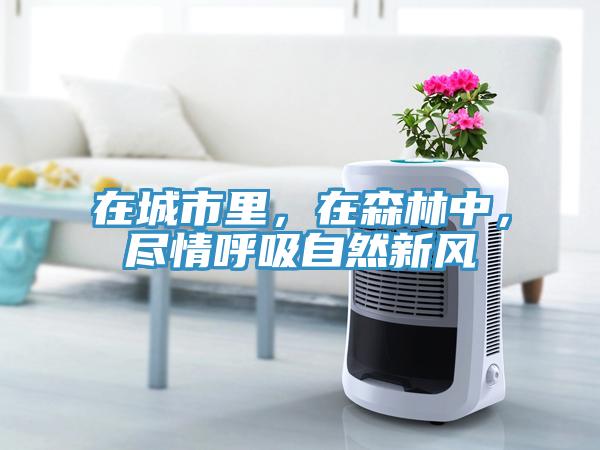 在城市里，在森林中，盡情呼吸自然新風
