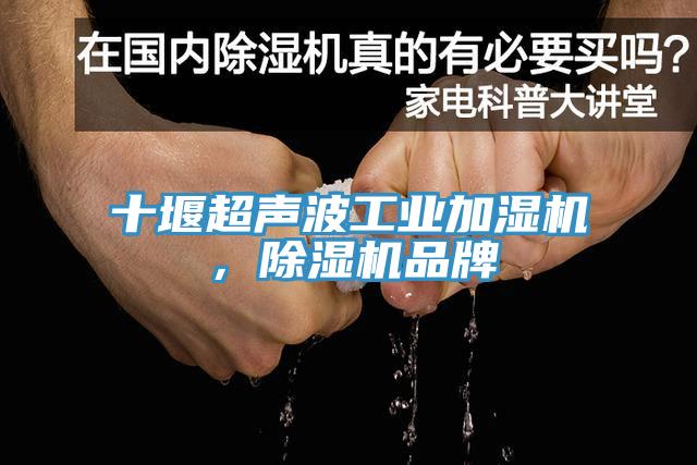 十堰超聲波工業加濕機，除濕機品牌