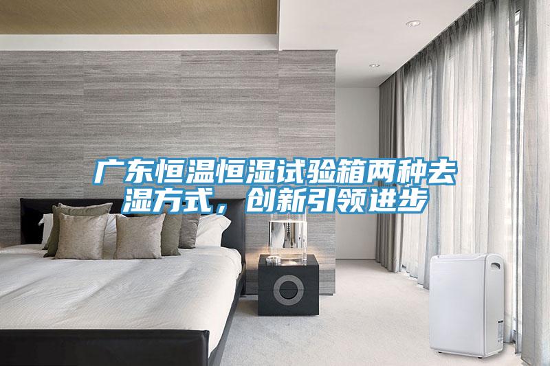 廣東恒溫恒濕試驗(yàn)箱兩種去濕方式,創(chuàng)新引領(lǐng)進(jìn)步
