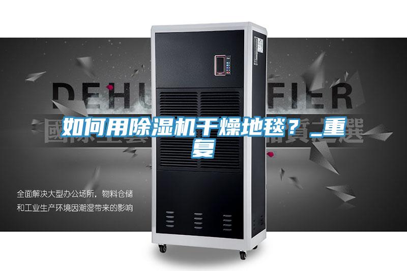 如何用除濕機干燥地毯？_重復