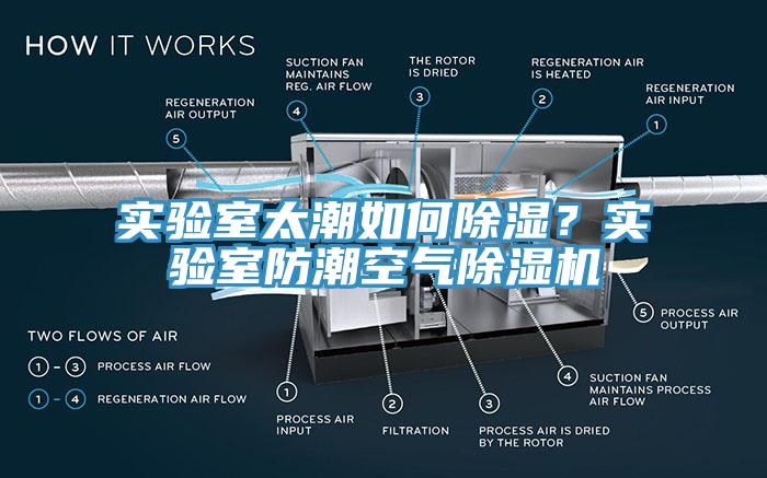 實驗室太潮如何除濕？實驗室防潮空氣除濕機