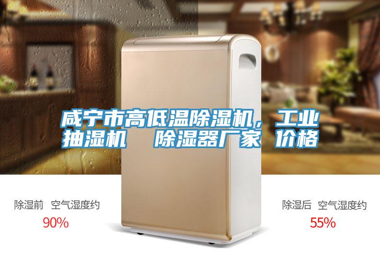 咸寧市高低溫除濕機，工業抽濕機  除濕器廠家 價格