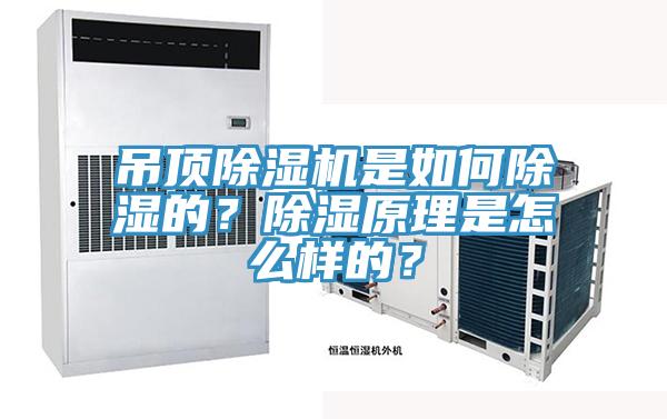 吊頂除濕機是如何除濕的？除濕原理是怎么樣的？