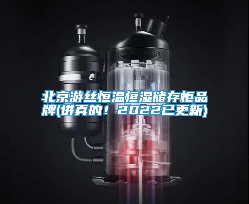 北京游絲恒溫恒濕儲存柜品牌(講真的！2022已更新)