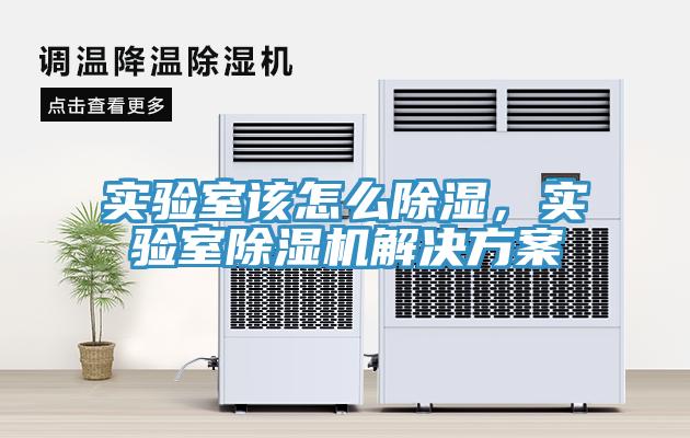 實驗室該怎么除濕，實驗室除濕機解決方案