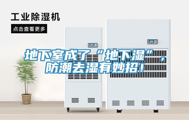 地下室成了“地下濕”，防潮去濕有妙招！