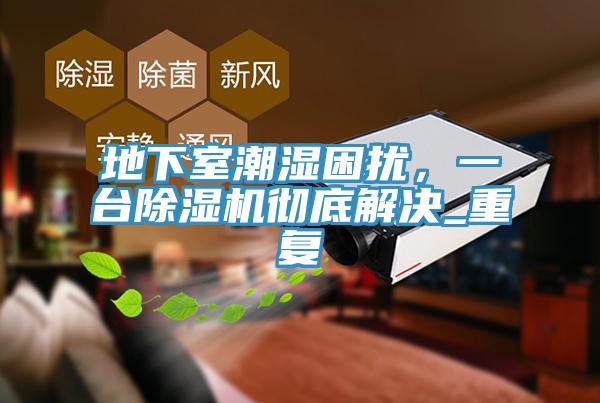 地下室潮濕困擾，一臺(tái)除濕機(jī)徹底解決_重復(fù)