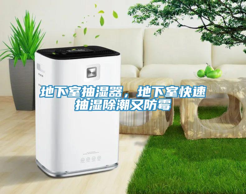 地下室抽濕器，地下室快速抽濕除潮又防霉