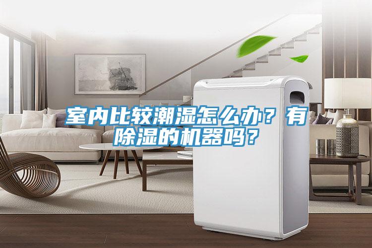 室內比較潮濕怎么辦？有除濕的機器嗎？
