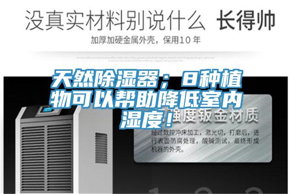 天然除濕器；8種植物可以幫助降低室內濕度！