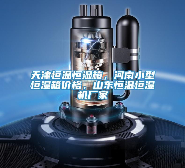天津恒溫恒濕箱，河南小型恒濕箱價格，山東恒溫恒濕機廠家