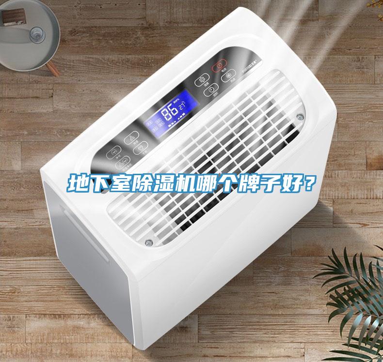 地下室除濕機哪個牌子好？
