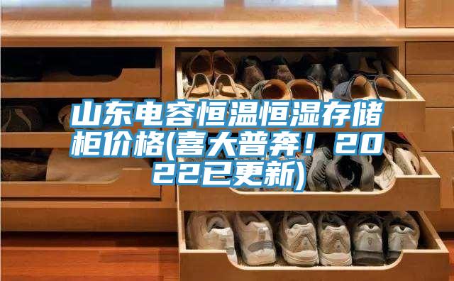 山東電容恒溫恒濕存儲柜價格(喜大普奔！2022已更新)