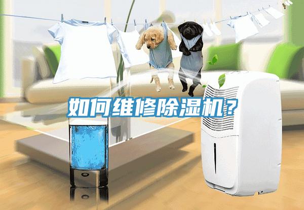 如何維修除濕機？