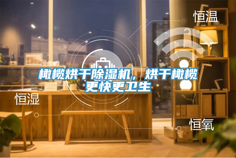 橄欖烘干除濕機(jī)，烘干橄欖更快更衛(wèi)生