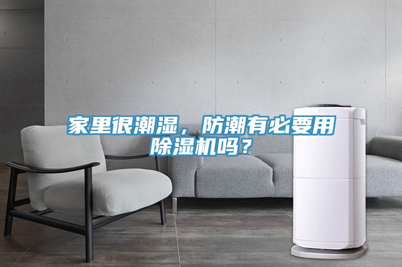 家里很潮濕，防潮有必要用除濕機(jī)嗎？