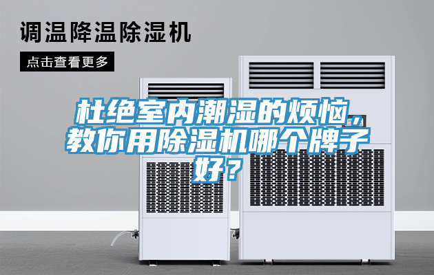 杜絕室內潮濕的煩惱，教你用除濕機哪個牌子好？