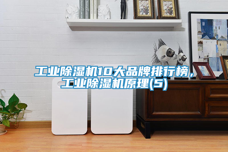 工業除濕機10大品牌排行榜，工業除濕機原理(5)
