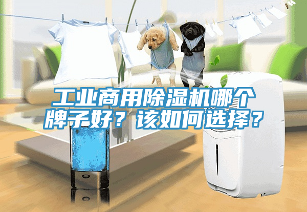 工業商用除濕機哪個牌子好？該如何選擇？