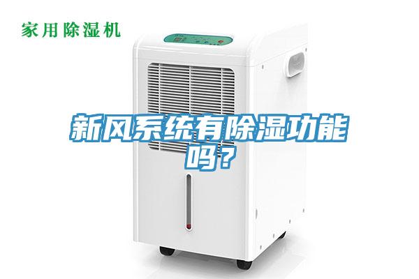新風系統有除濕功能嗎？
