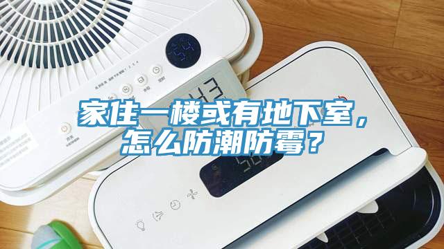 家住一樓或有地下室，怎么防潮防霉？